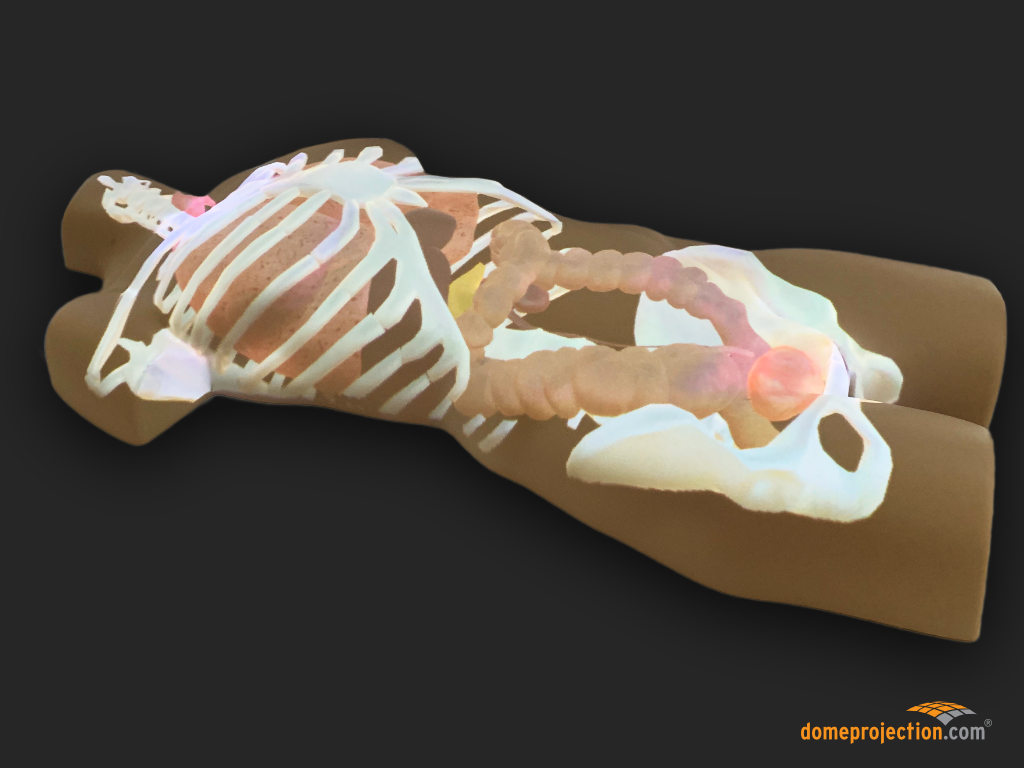 Research project “MedProjection”