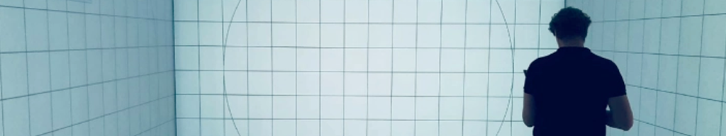 VIOSO on-site support