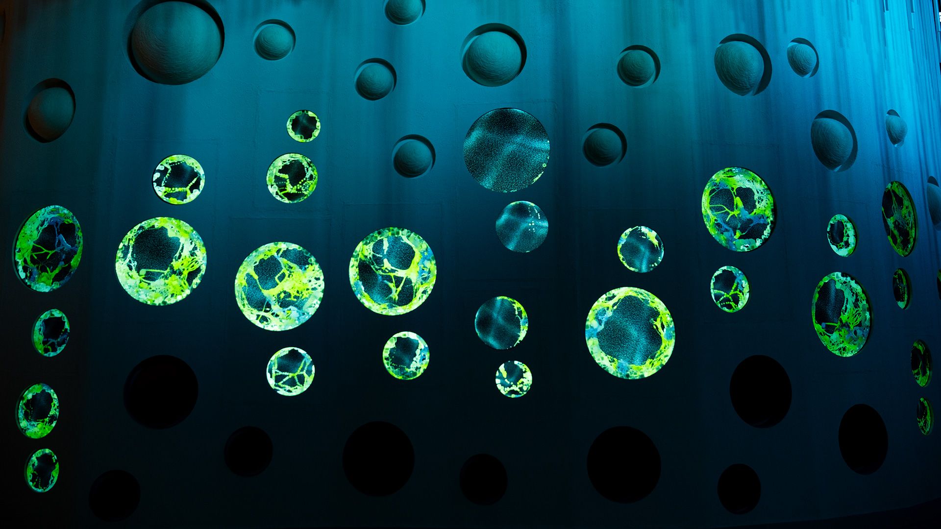 Bulgaria Pavillion VIOSO